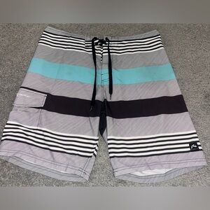 Men’s Rusty Swim Board Shorts - Multicolor Striped, Size 34